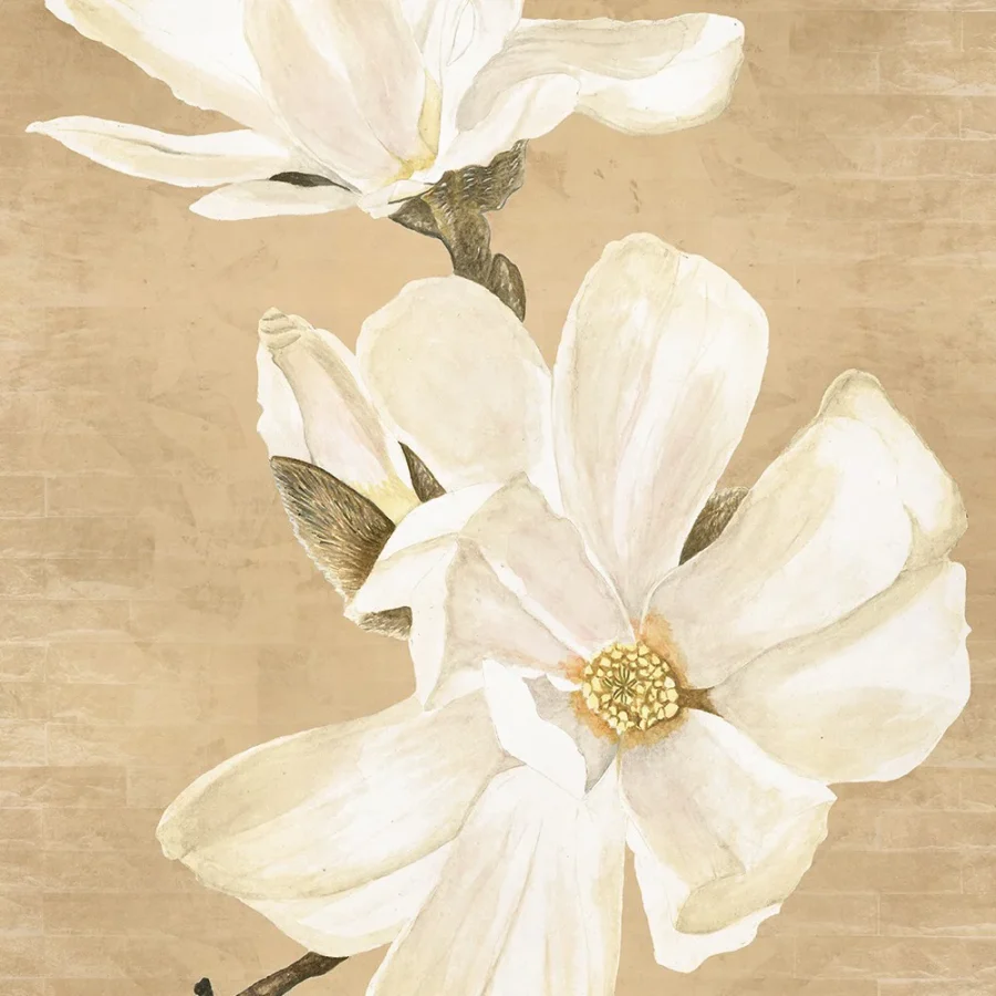 Adriani e Rossi / Collezione Flowers Magnolia